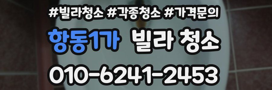 항동1가 빌라 청소