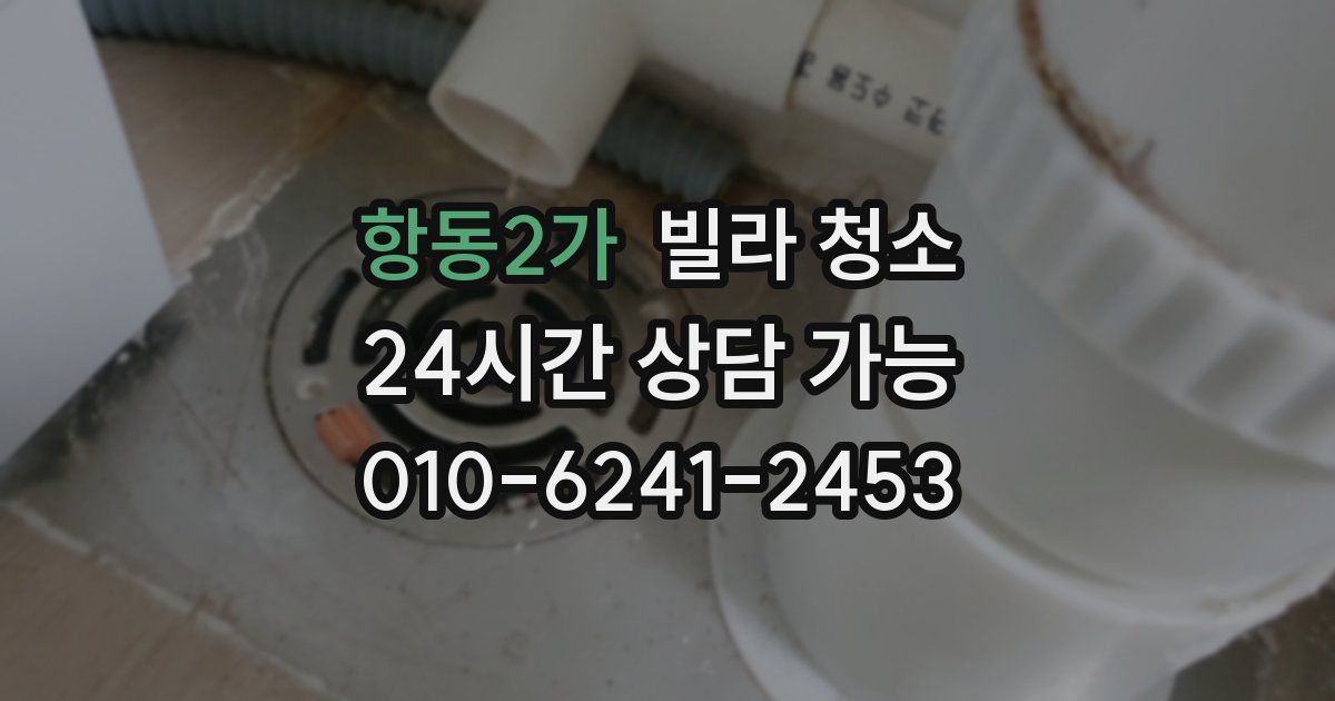 항동2가 빌라 청소