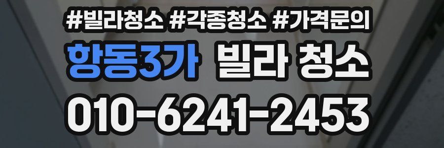 항동3가 빌라 청소