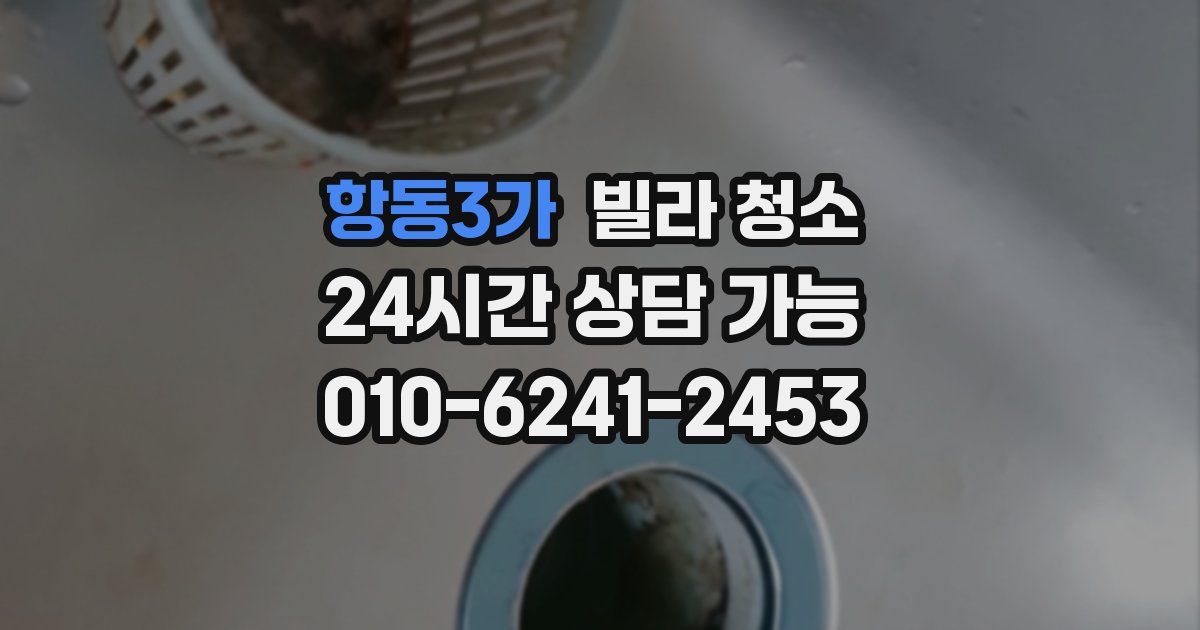 항동3가 빌라 청소