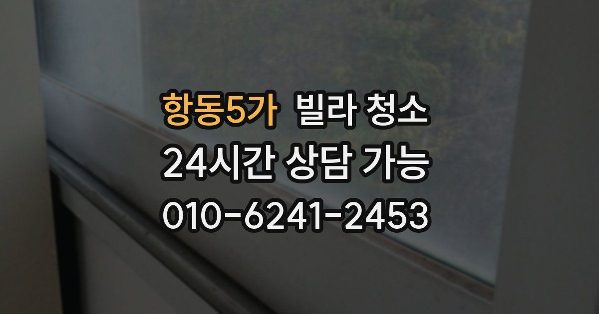 항동5가 빌라 청소