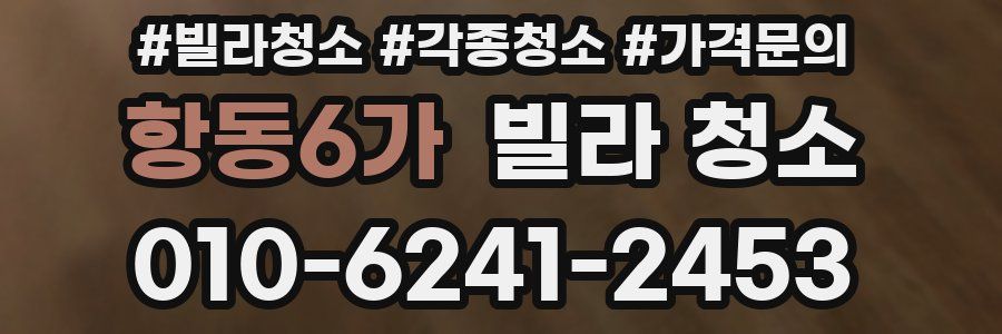 항동6가 빌라 청소