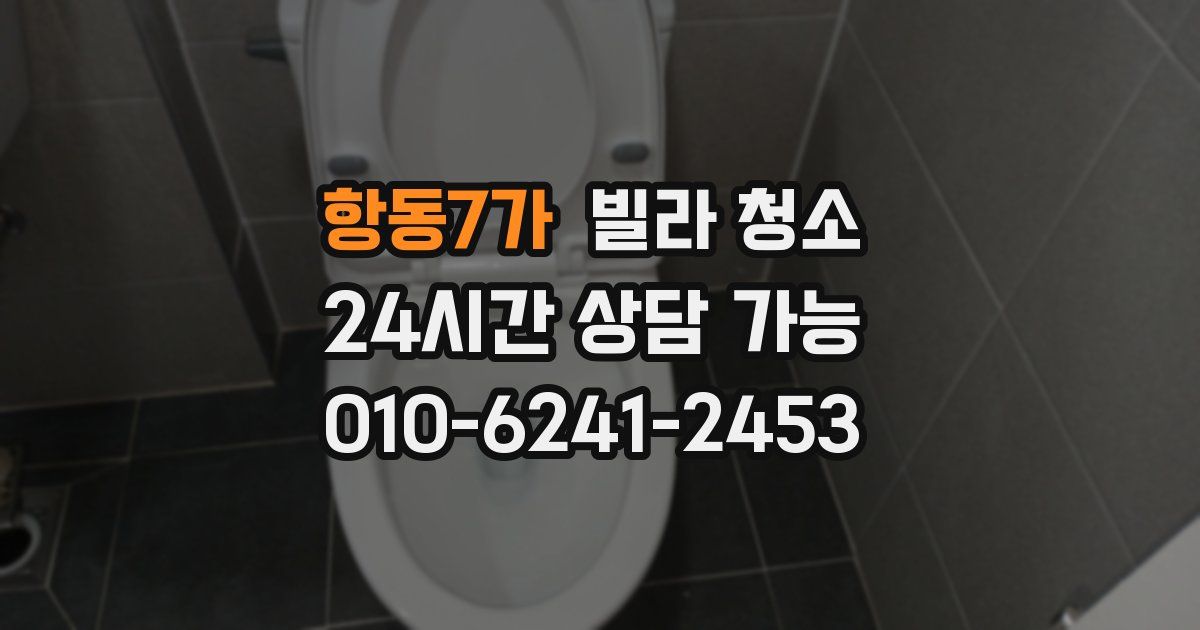 항동7가 빌라 청소