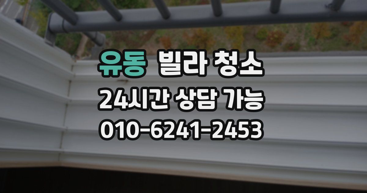 유동 빌라 청소