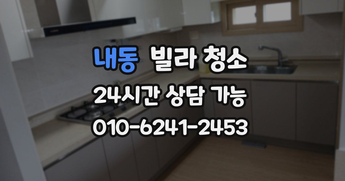 내동 빌라 청소