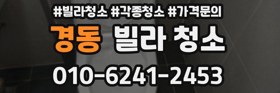 경동 빌라 청소