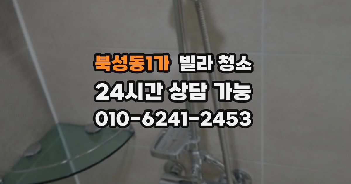 북성동1가 빌라 청소