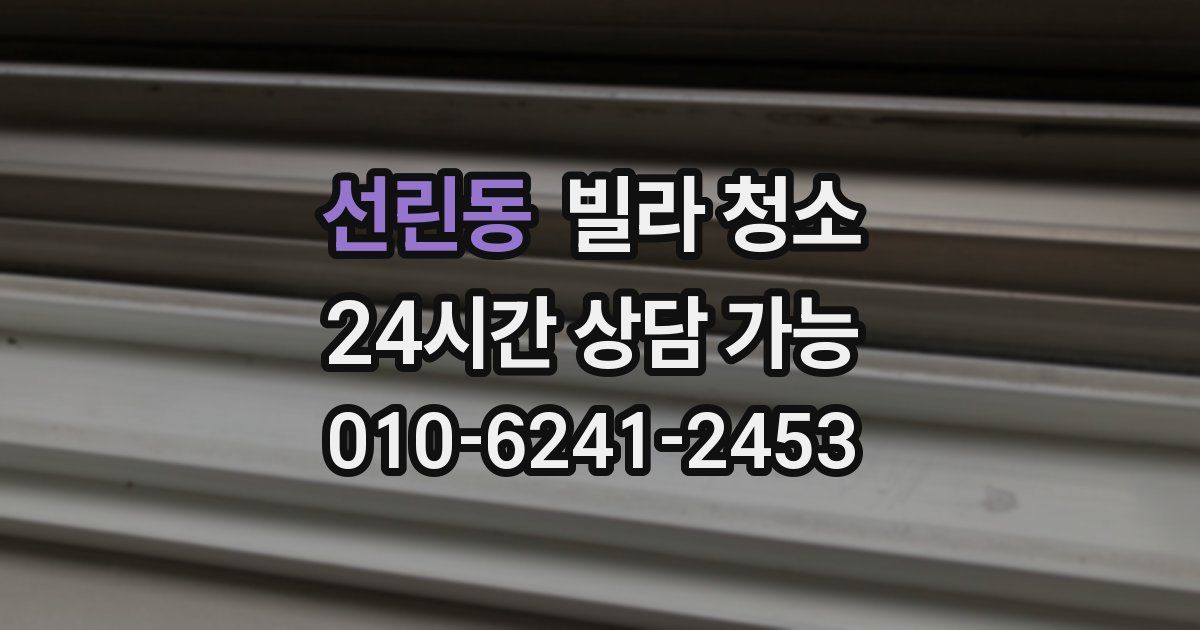 선린동 빌라 청소