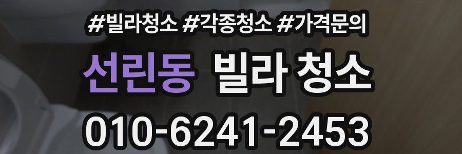 선린동 빌라 청소