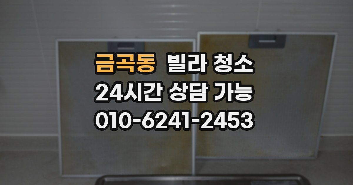 금곡동 빌라 청소