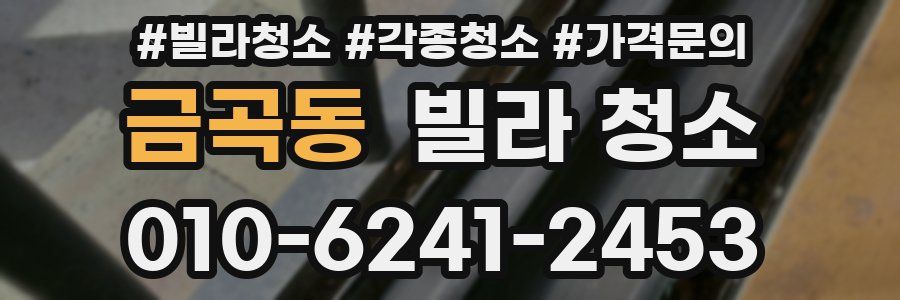 금곡동 빌라 청소
