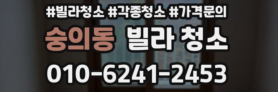 숭의동 빌라 청소