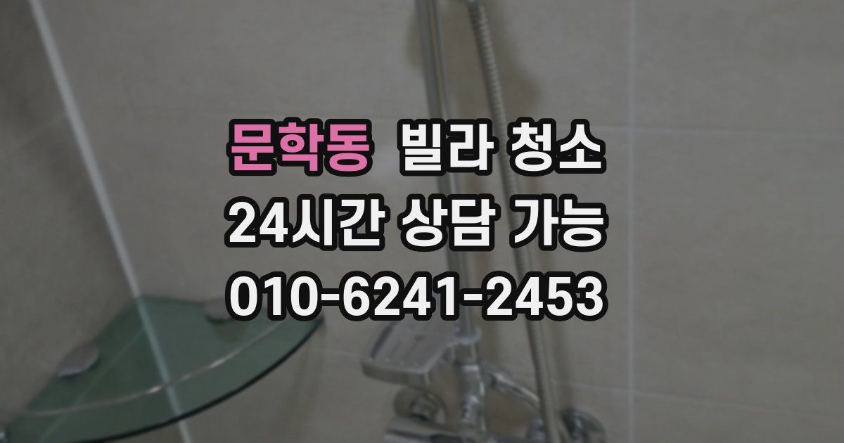 문학동 빌라 청소