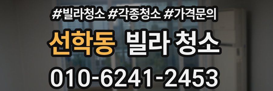 선학동 빌라 청소