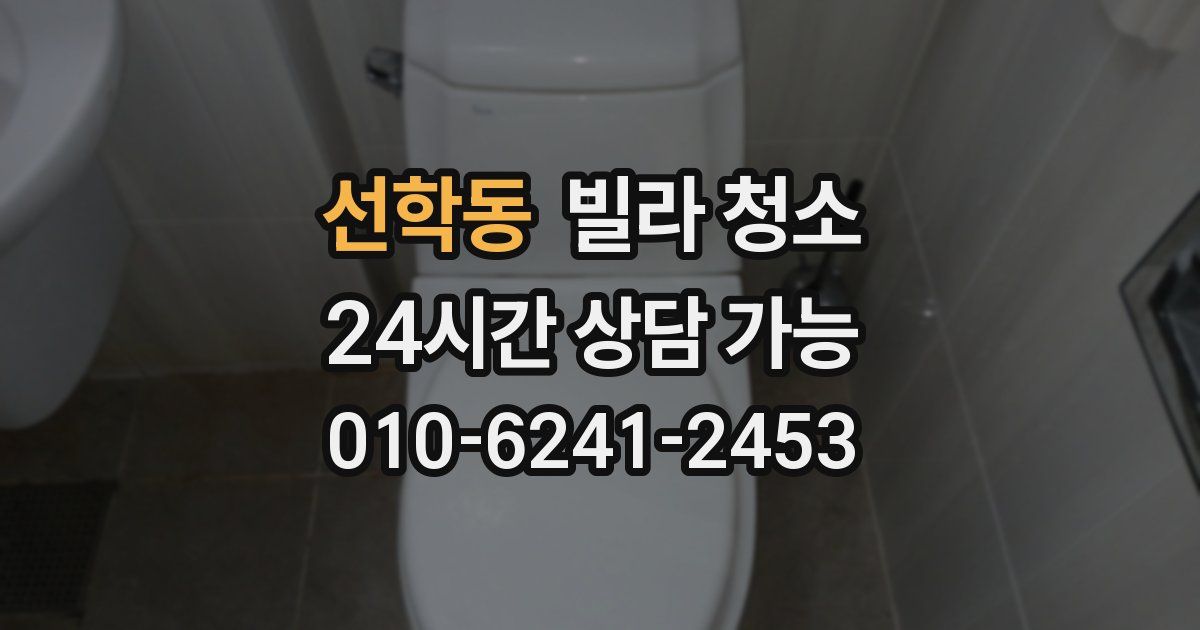 선학동 빌라 청소