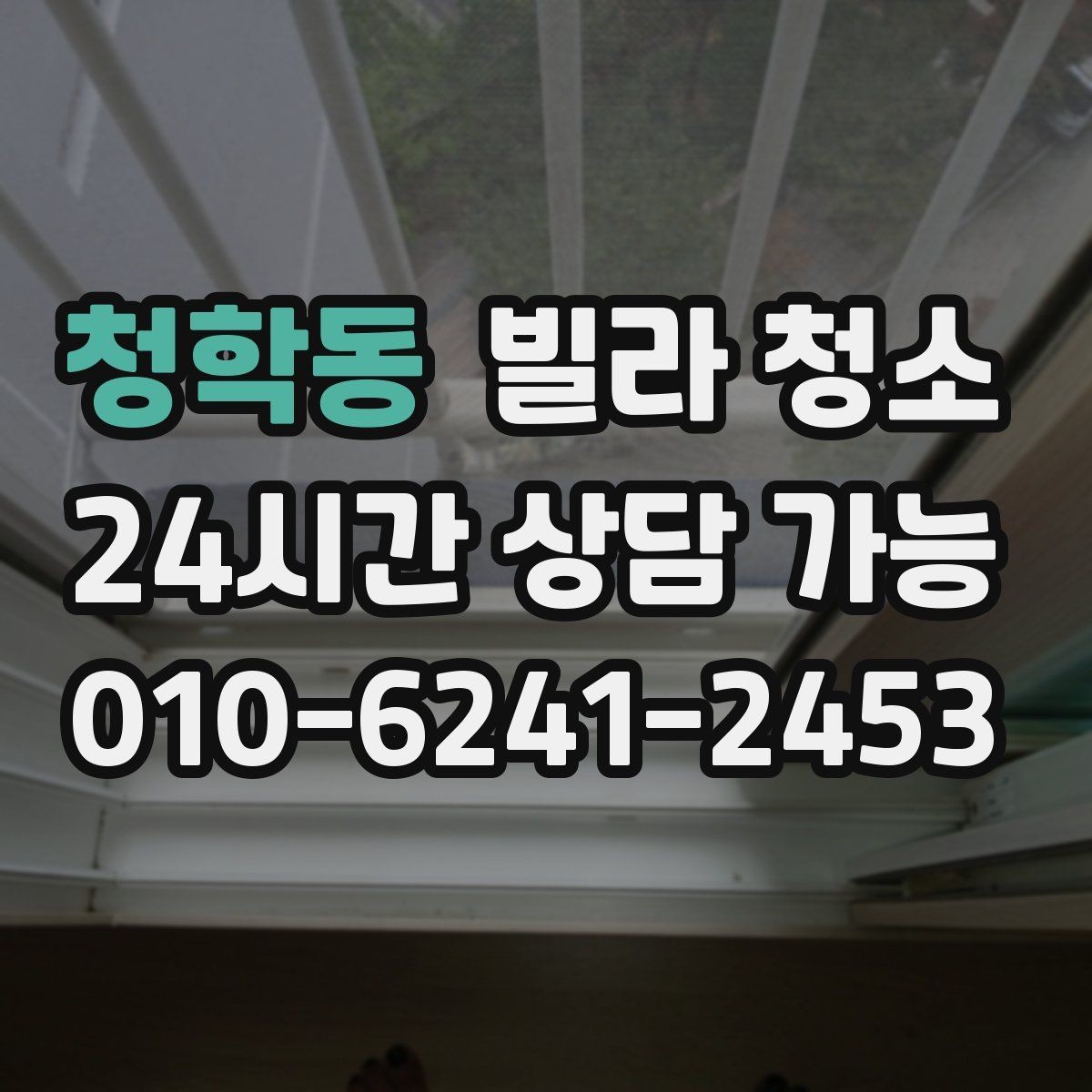 청학동 빌라 청소 반려동물 털이 많을 때 필수 청소 포인트