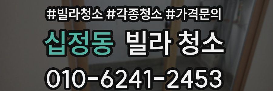 십정동 빌라 청소