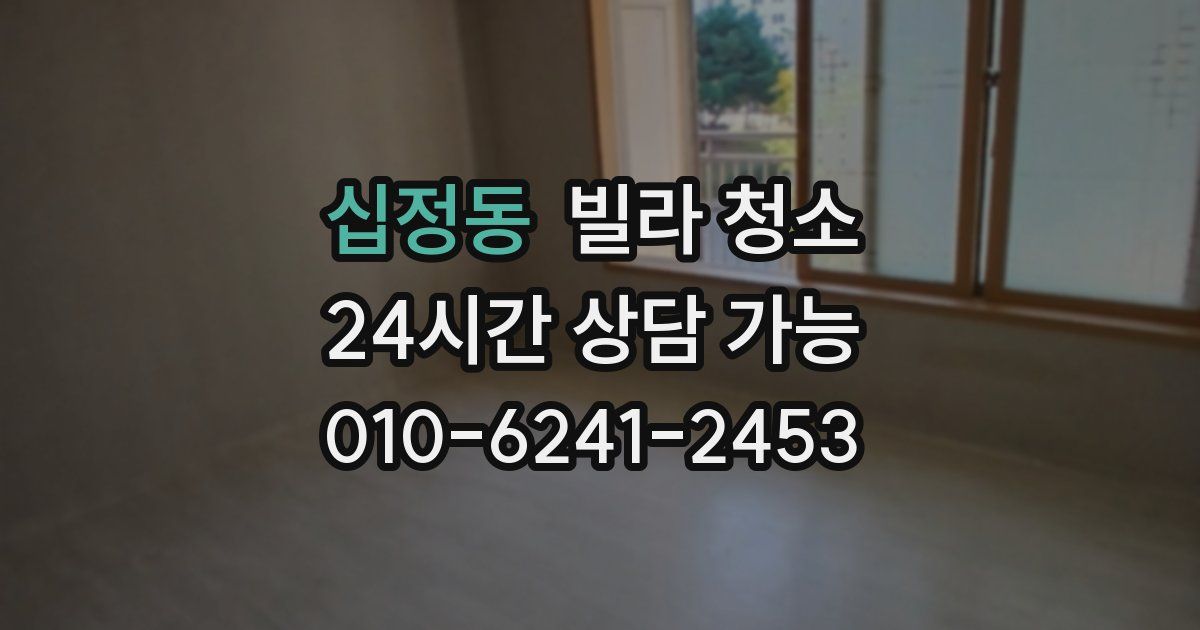 십정동 빌라 청소