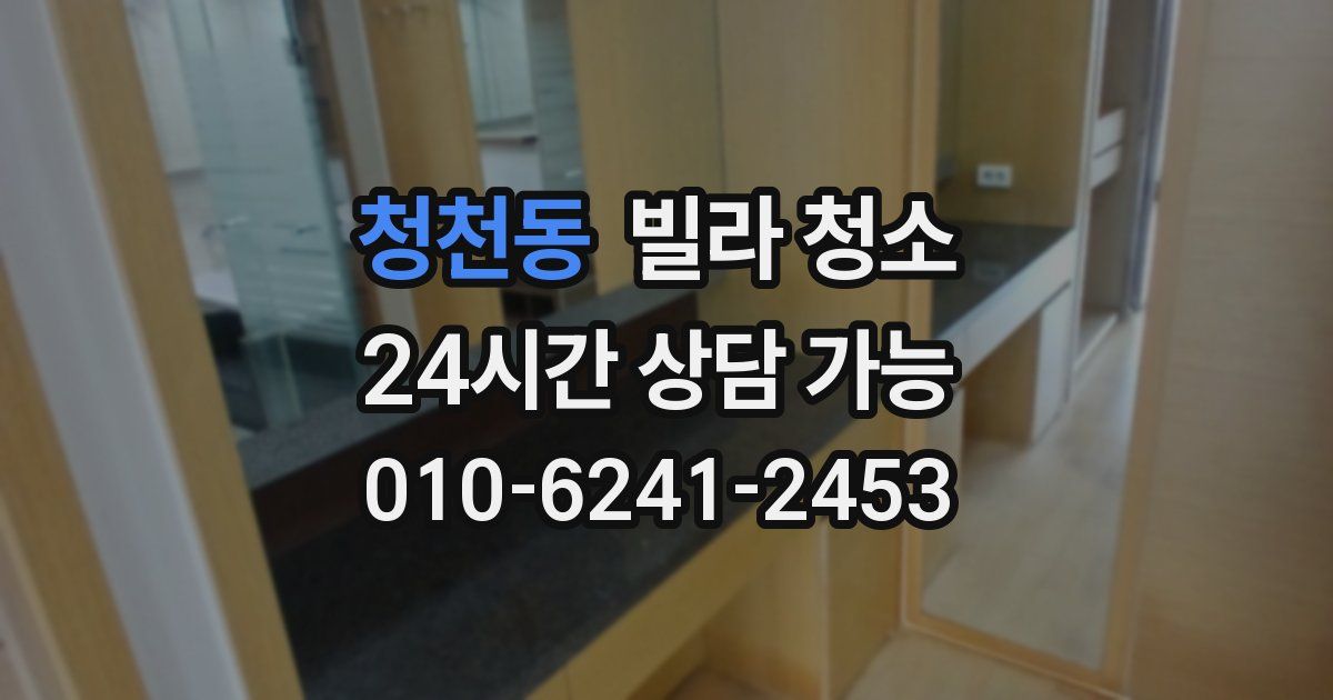 청천동 빌라 청소