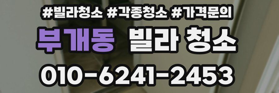 부개동 빌라 청소