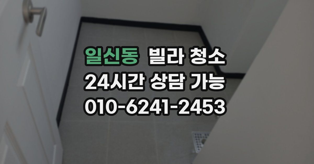 일신동 빌라 청소