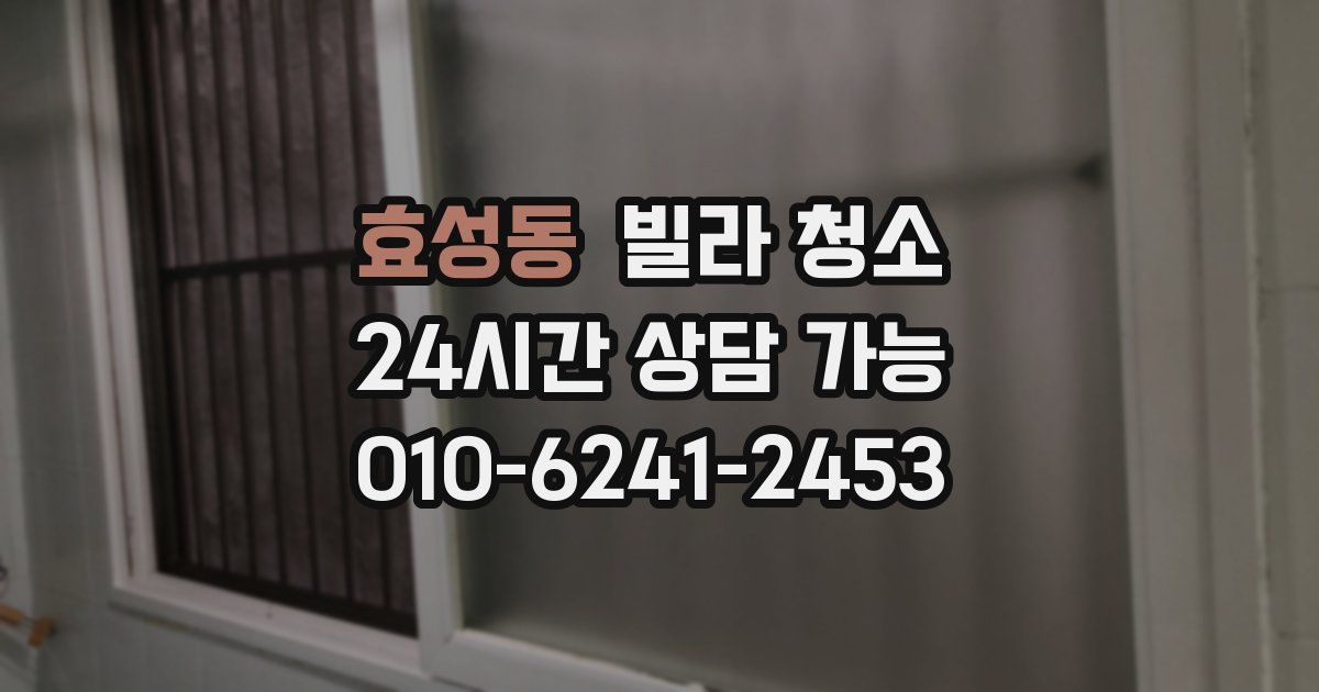 효성동 빌라 청소