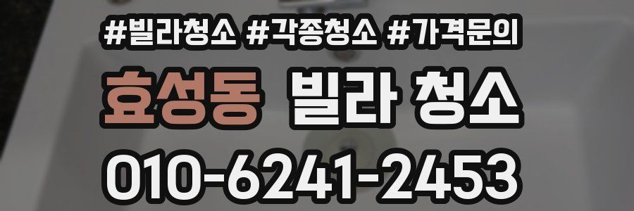 효성동 빌라 청소