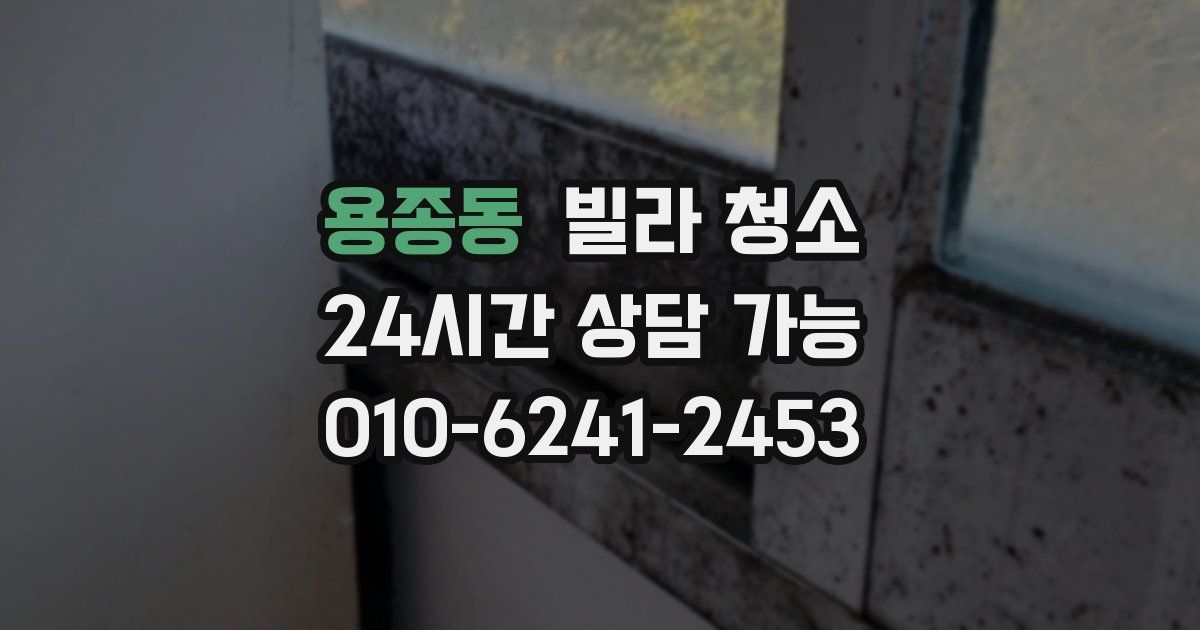 용종동 빌라 청소