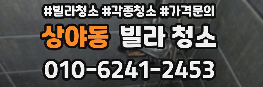 상야동 빌라 청소