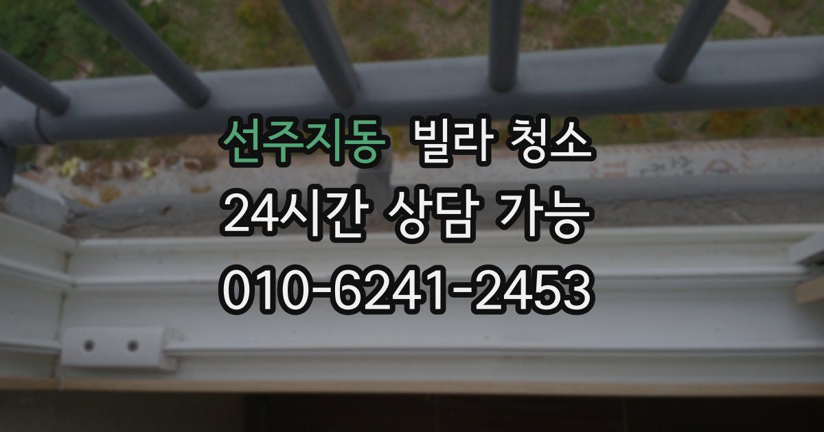 선주지동 빌라 청소