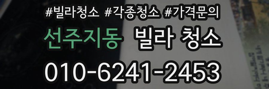 선주지동 빌라 청소