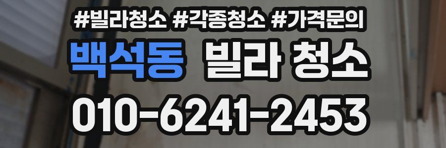 백석동 빌라 청소