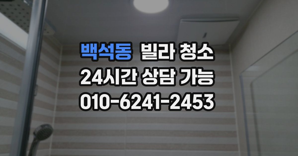 백석동 빌라 청소