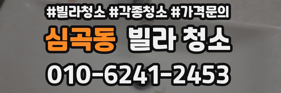 심곡동 빌라 청소