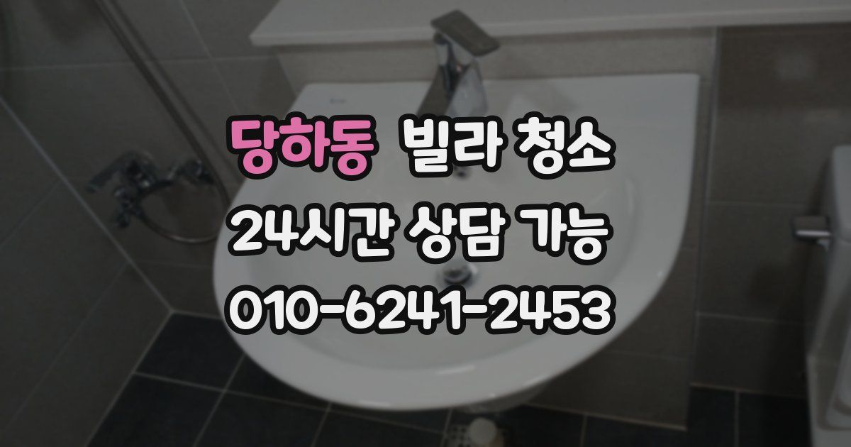 당하동 빌라 청소