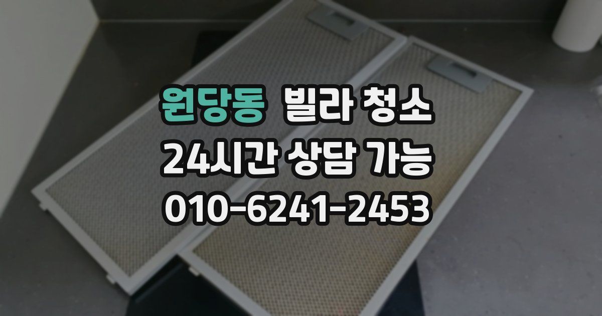 원당동 빌라 청소