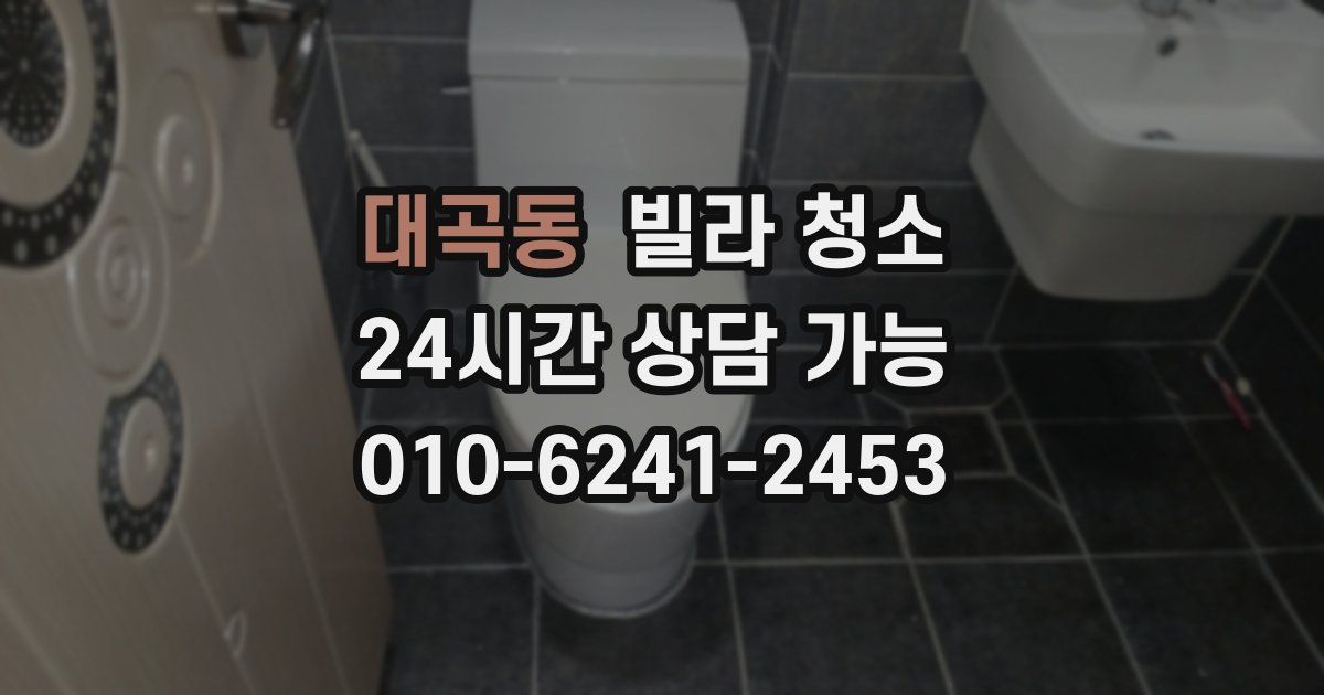 대곡동 빌라 청소
