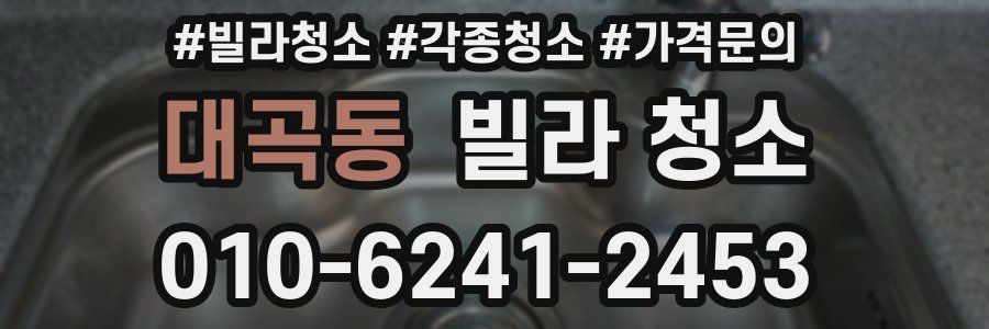 대곡동 빌라 청소