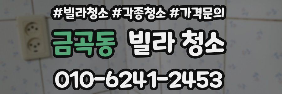 금곡동 빌라 청소