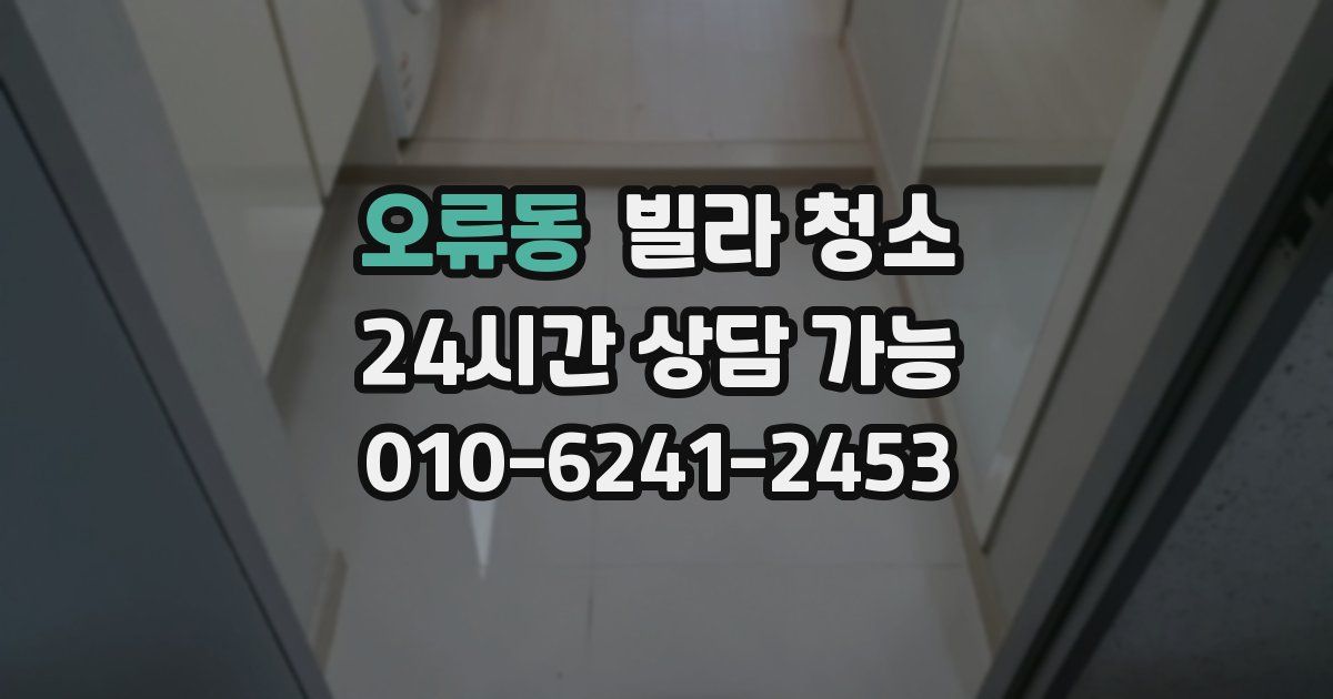 오류동 빌라 청소