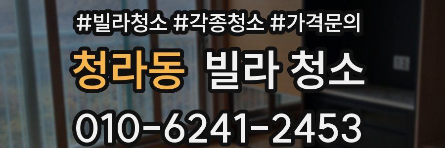 청라동 빌라 청소