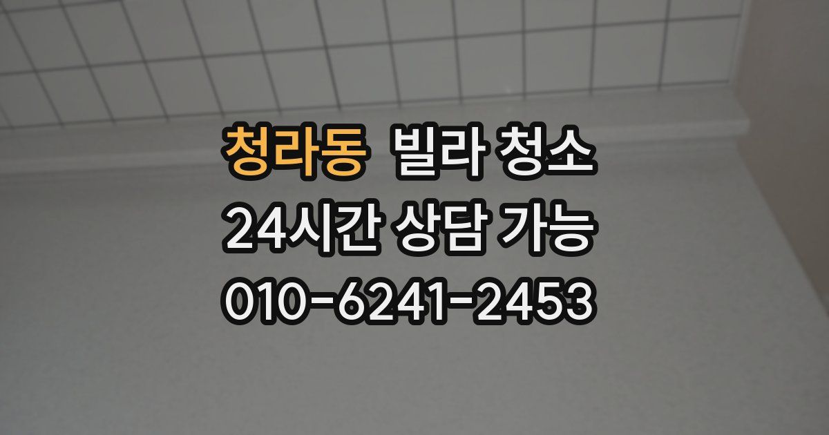 청라동 빌라 청소