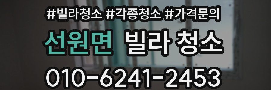 선원면 빌라 청소