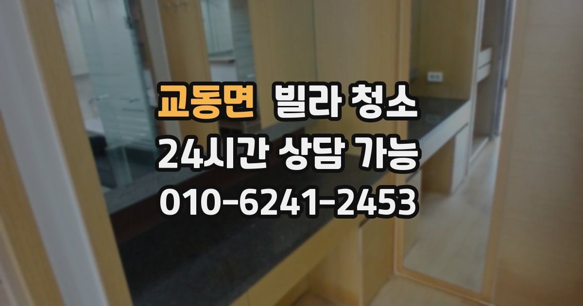 교동면 빌라 청소