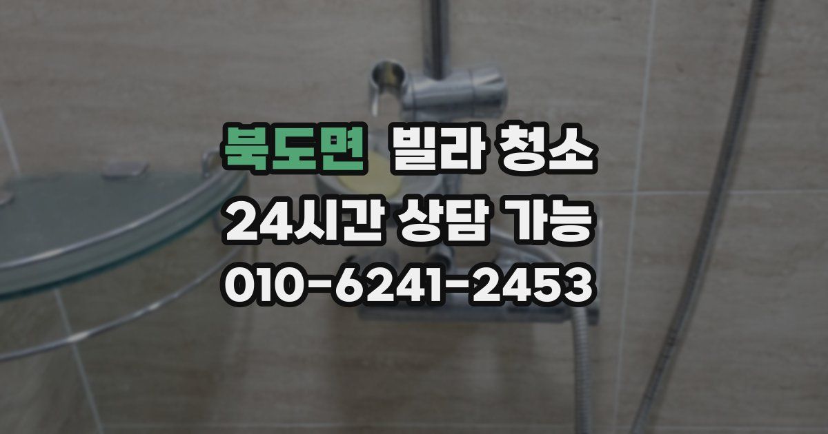 북도면 빌라 청소