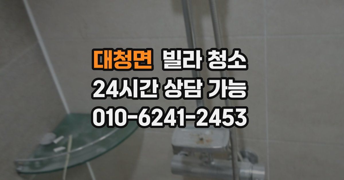 대청면 빌라 청소