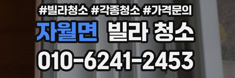 자월면 빌라 청소