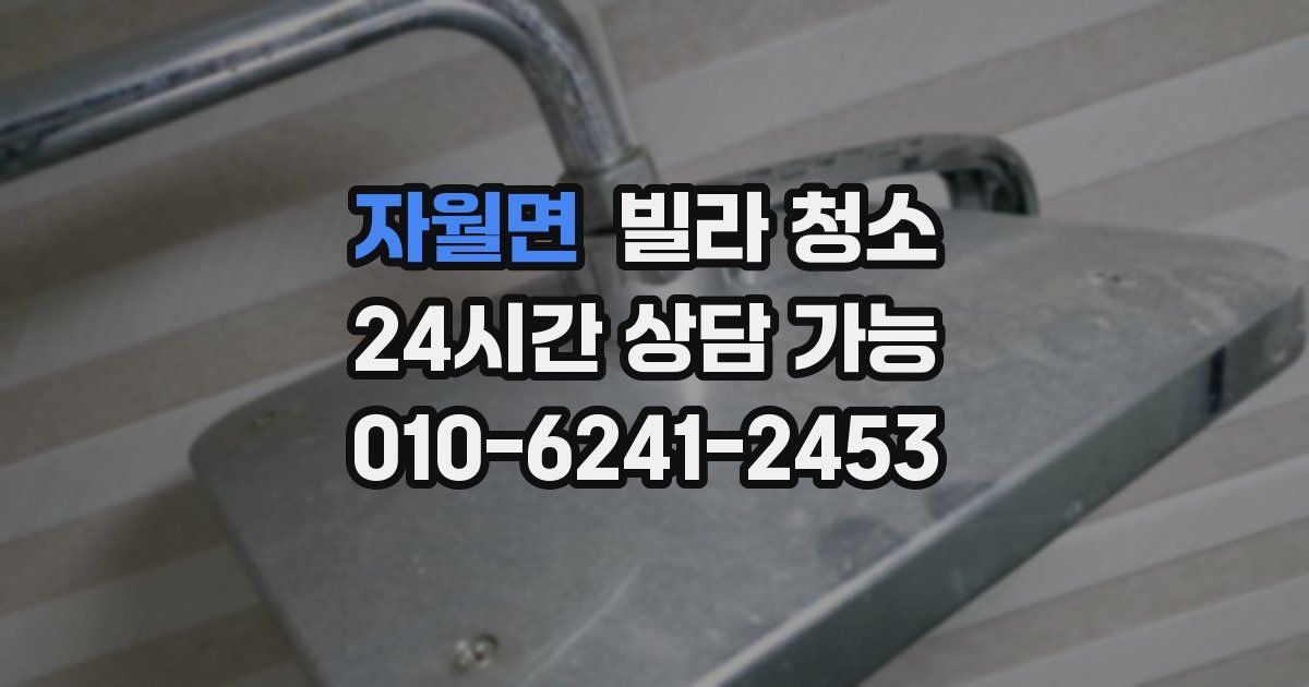 자월면 빌라 청소