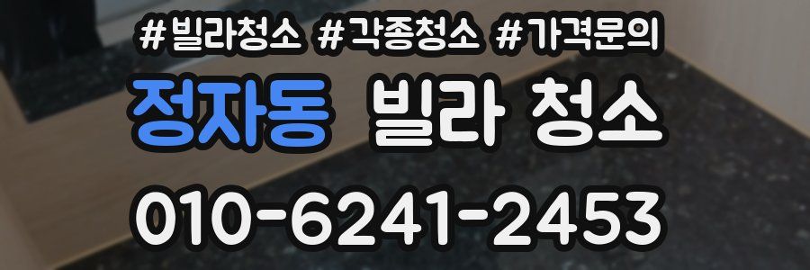 정자동 빌라 청소