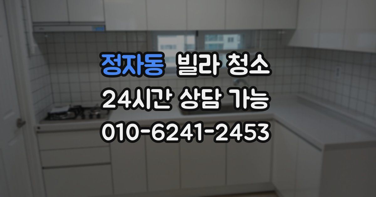 정자동 빌라 청소